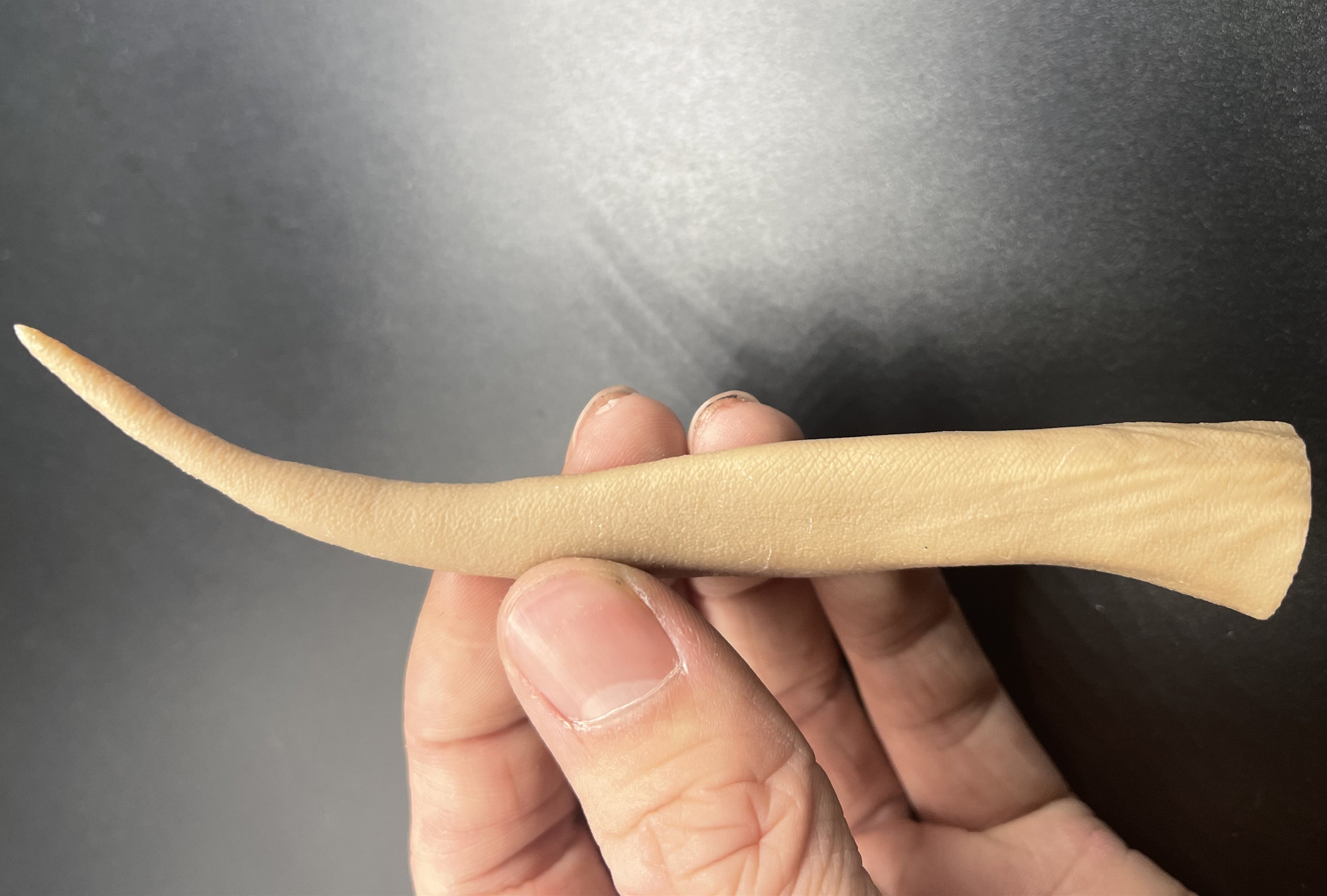 ORIGIN STUDIO 1:35 Scale Ichthyovenator Model Kit