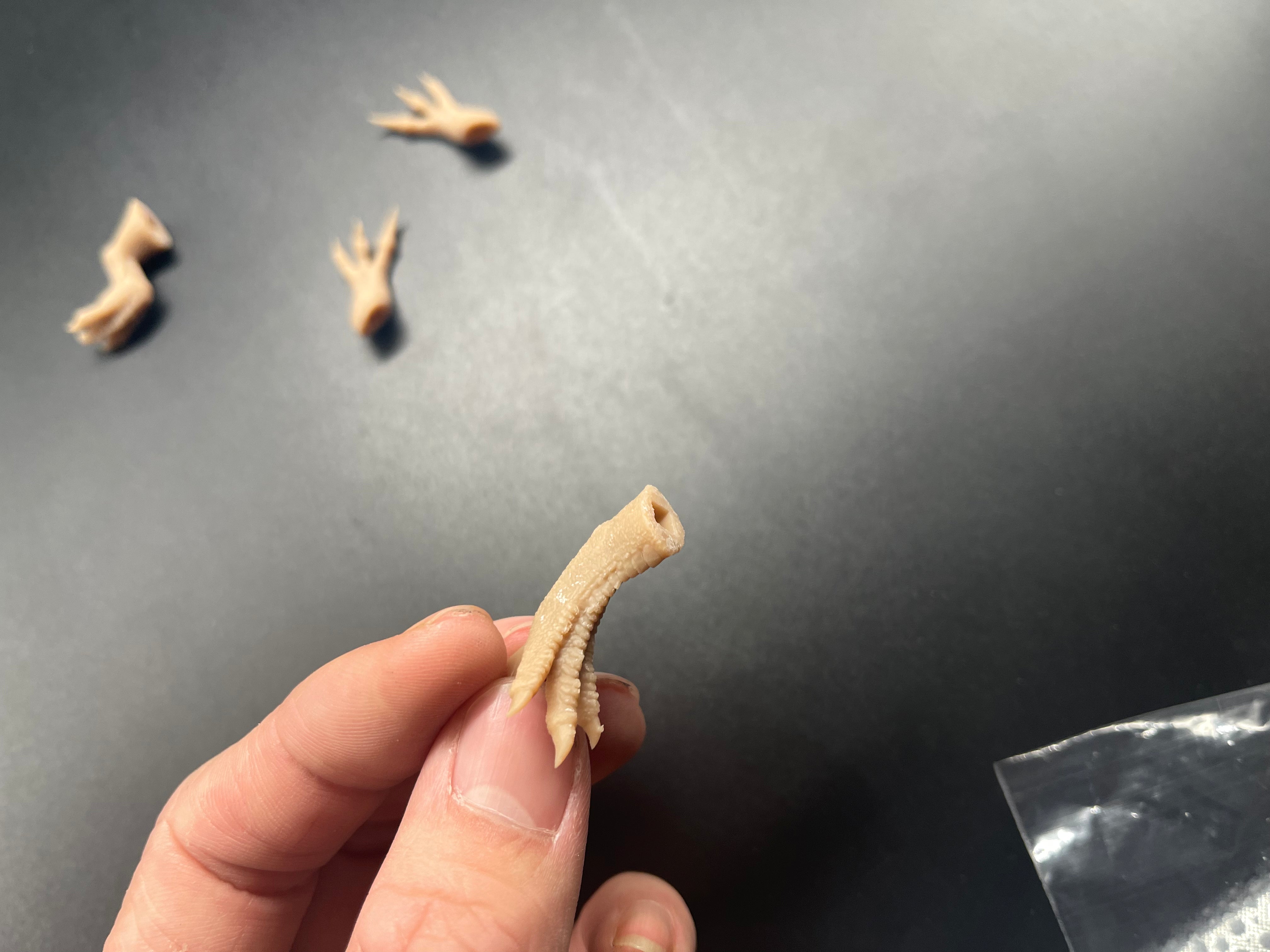 ORIGIN STUDIO 1:35 Scale Ichthyovenator Model Kit