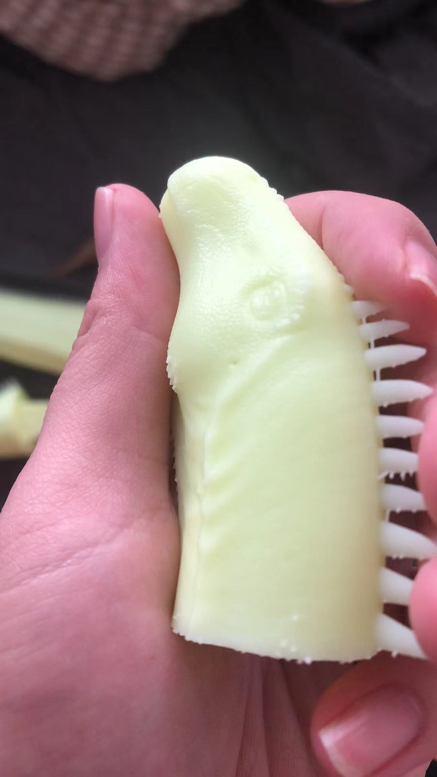 Barosaurus Model Kit