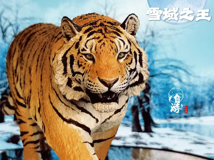 Panthera tigris altaica Siberian Tiger Model
