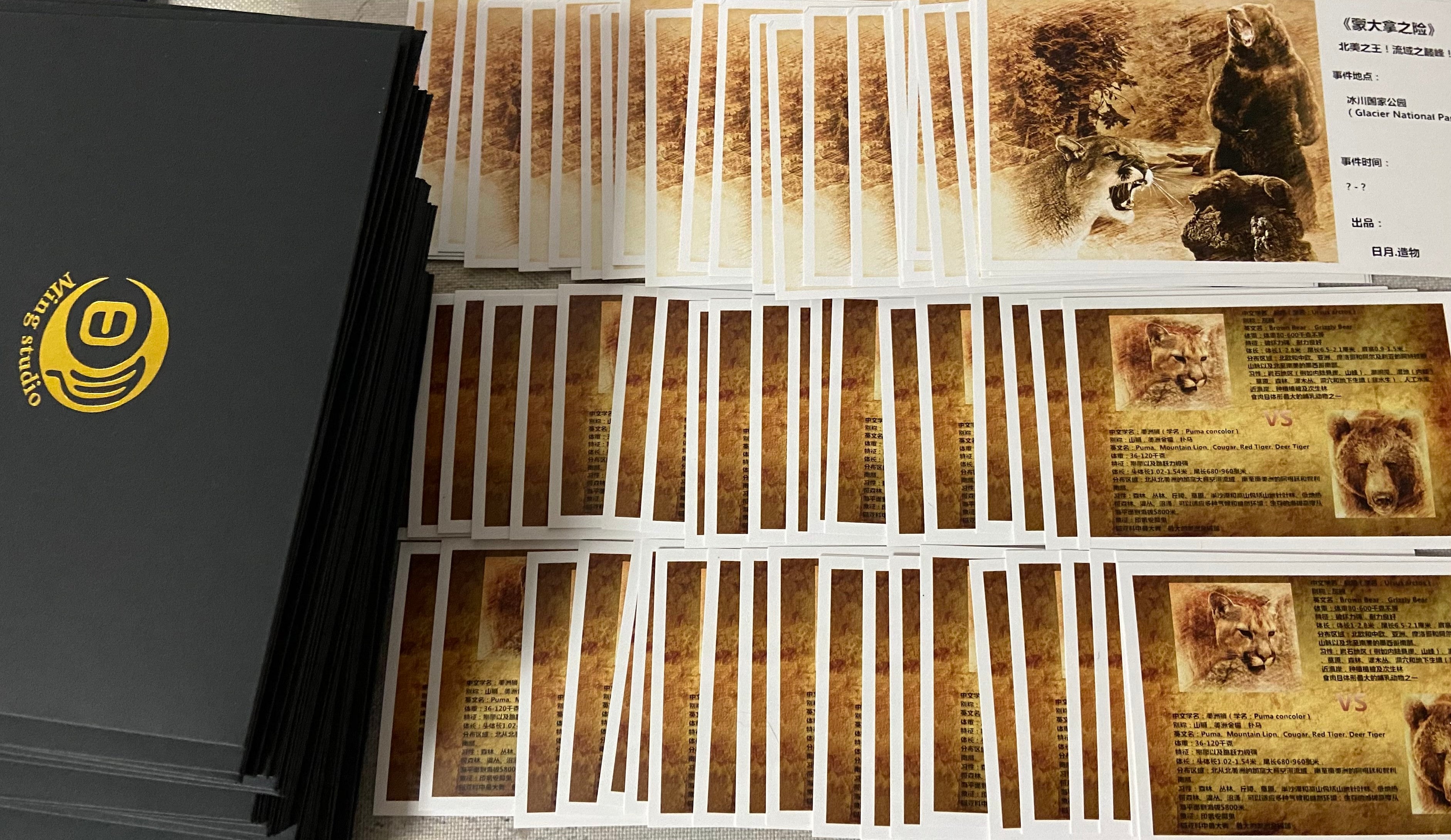 1:15 Cougar VS Brown Bear Scene Model