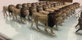 Lion Warthog Meerkat Scene Model