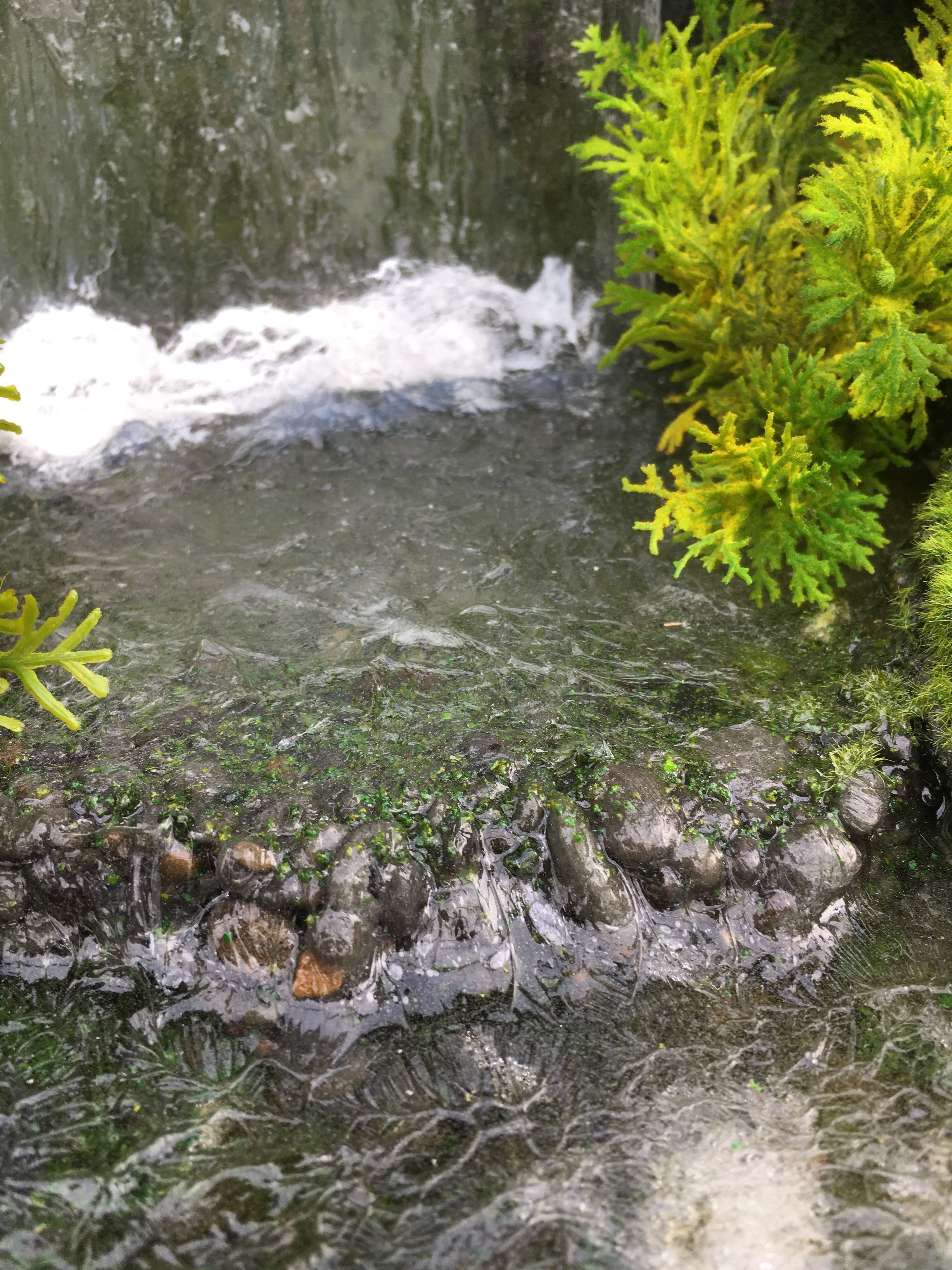 Lion Warthog Meerkat Scene Model