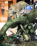 Panthera onca Eunectes Murinus Caiman Scene Model