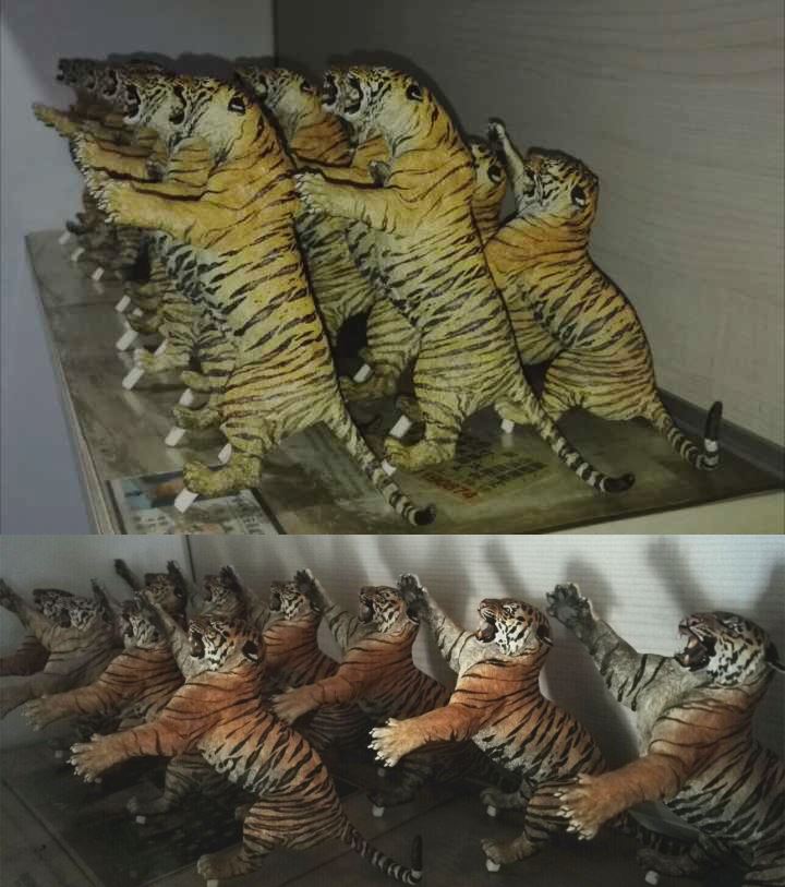 1:15 Barka VS Charger Tiger King Scene Model