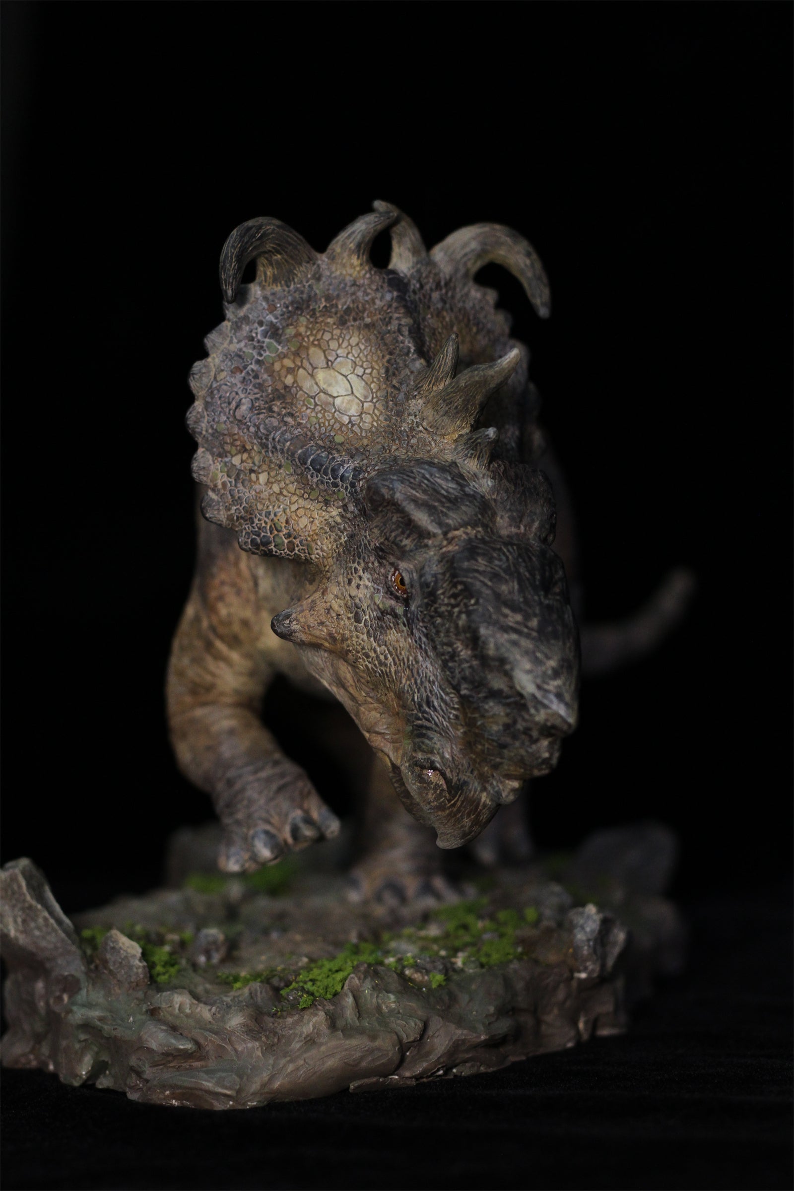 1:15 Scale Pachyrhinosaurus Scene Model