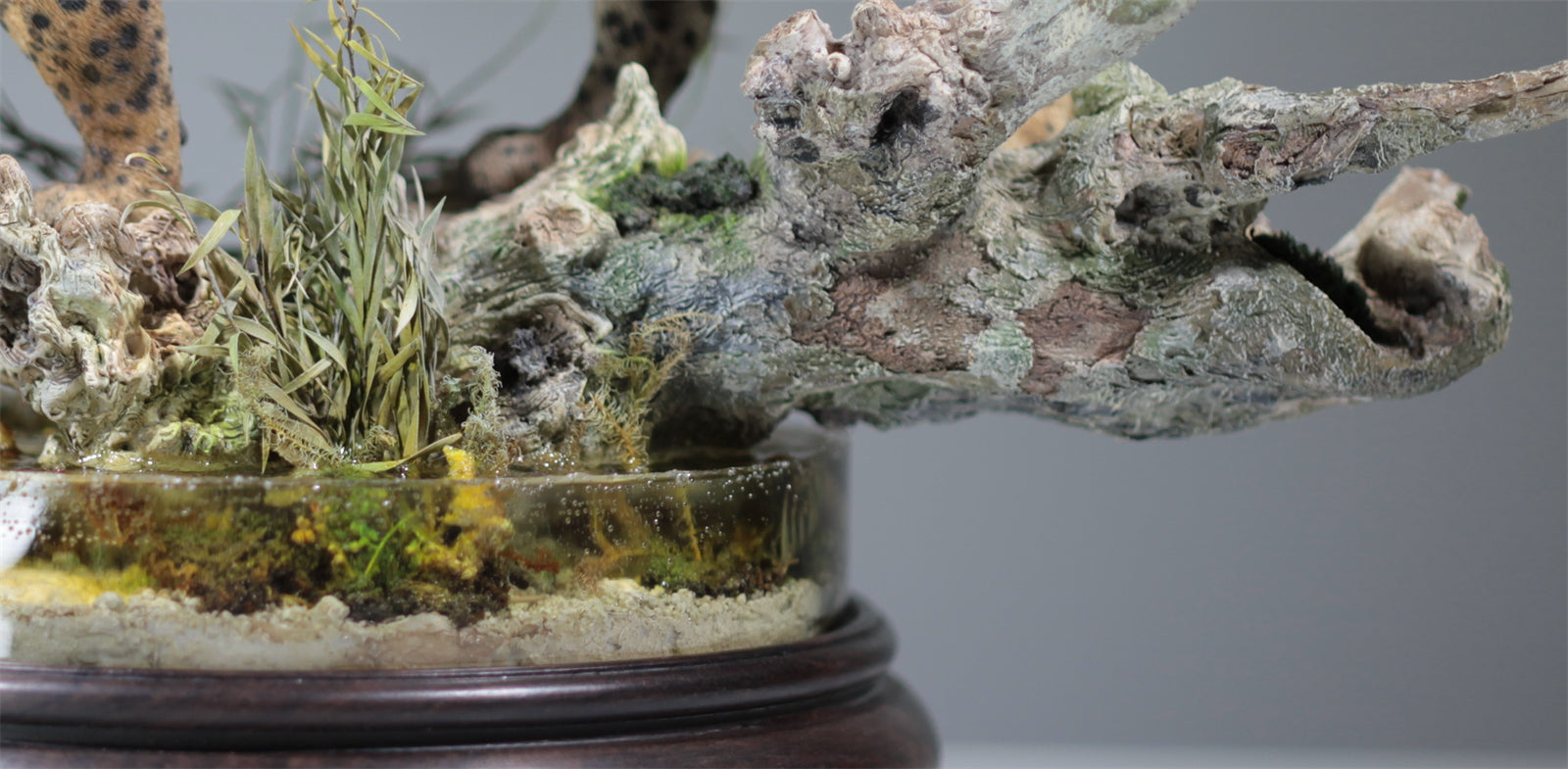 1:6 Panthera onca Scene Model