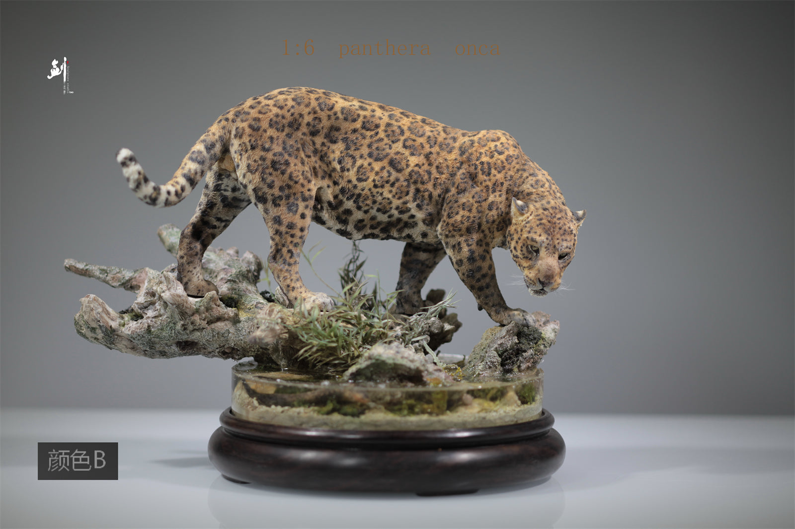1:6 Panthera onca Scene Model