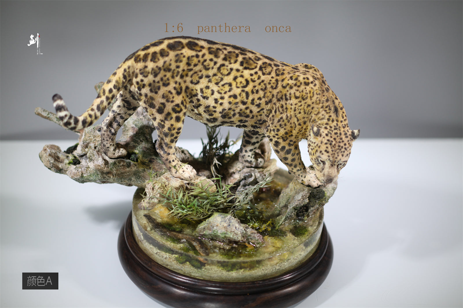1:6 Panthera onca Scene Model