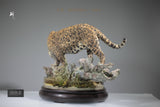 1:6 Panthera onca Scene Model