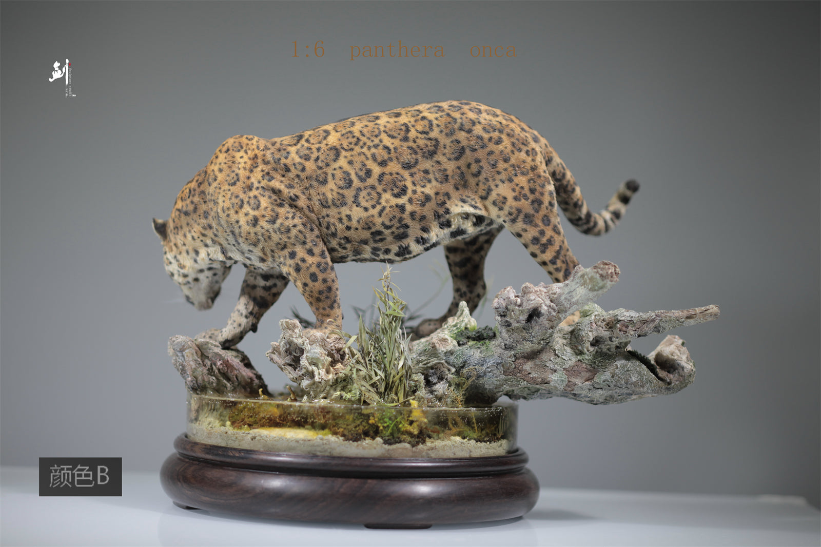 1:6 Panthera onca Scene Model