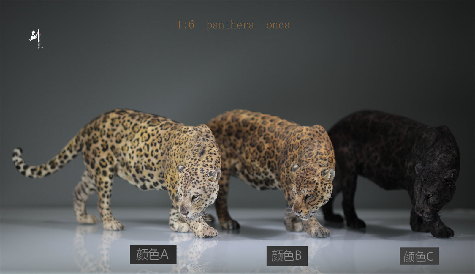 1:6 Panthera onca Scene Model