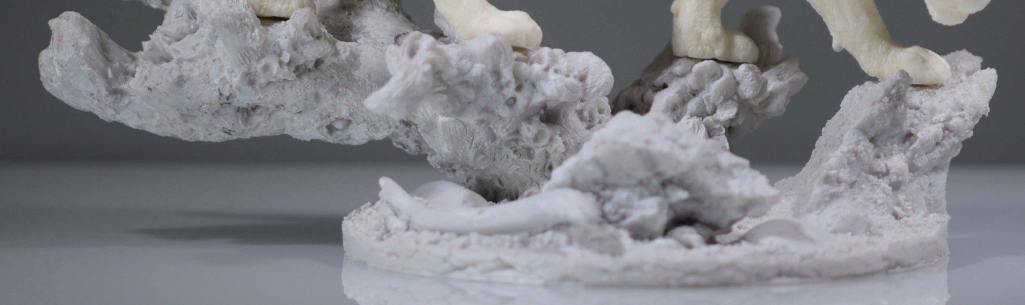 1:6 Panthera onca Scene Model