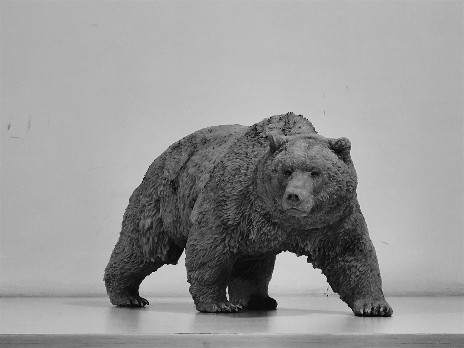 tunan 1:10 Scale Ursus arctos Brown Bear Model