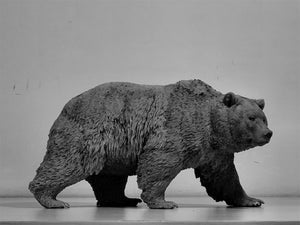 1:10 Scale Ursus arctos Brown Bear Model