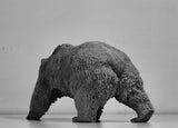 1:10 Scale Ursus arctos Brown Bear Model