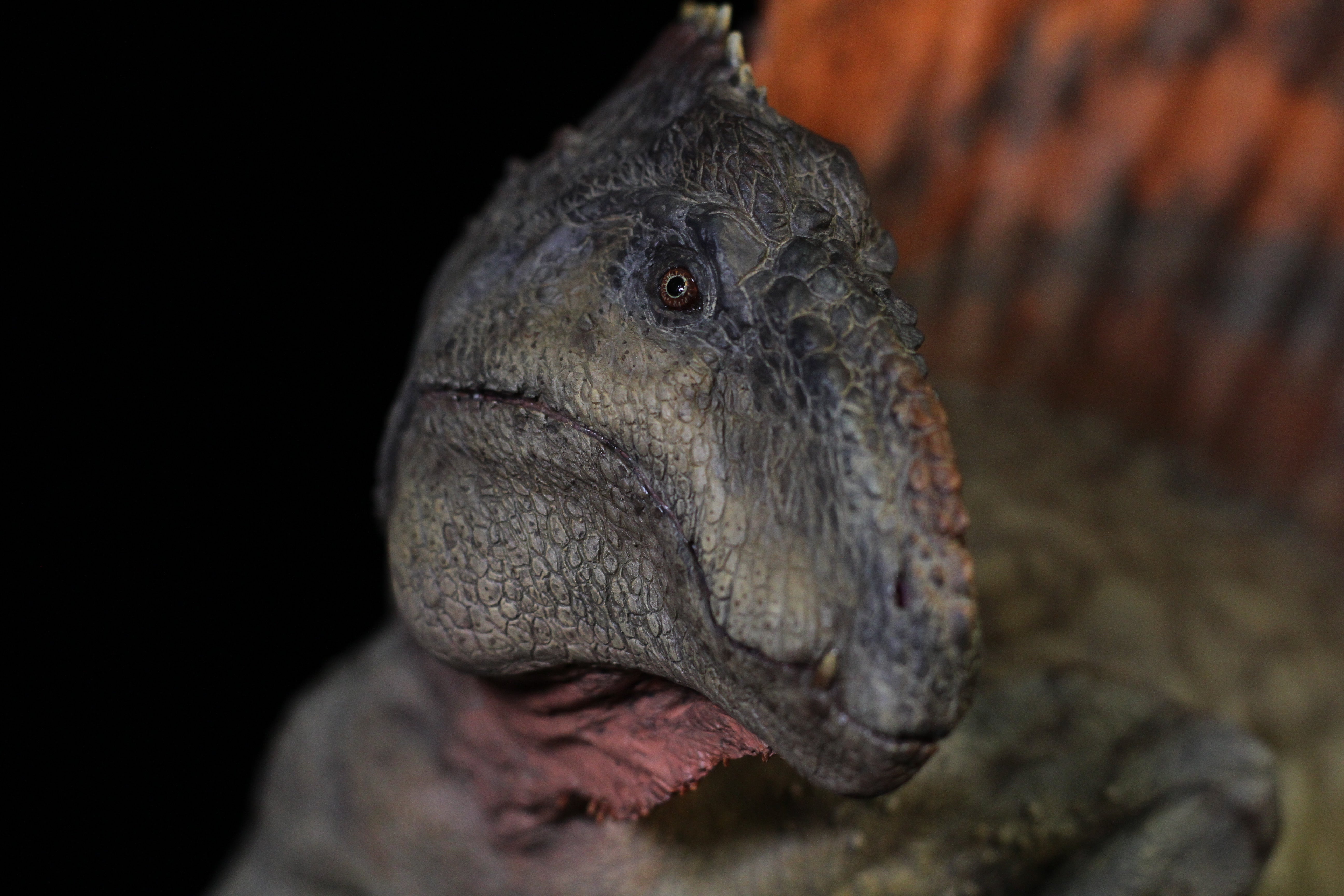 DM 1:5 Dimetrodon Scene Kit