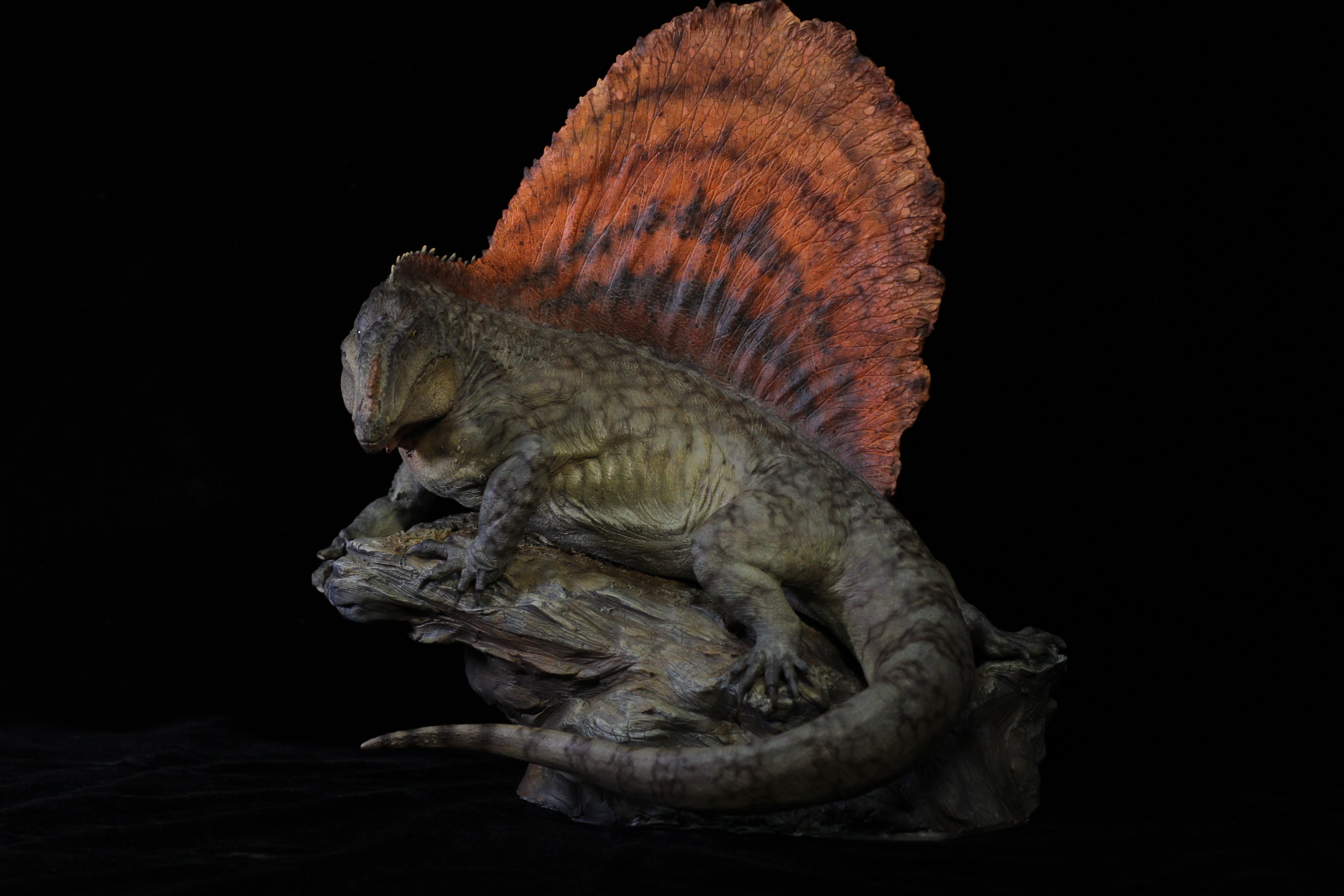 DM 1:5 Dimetrodon Scene Kit