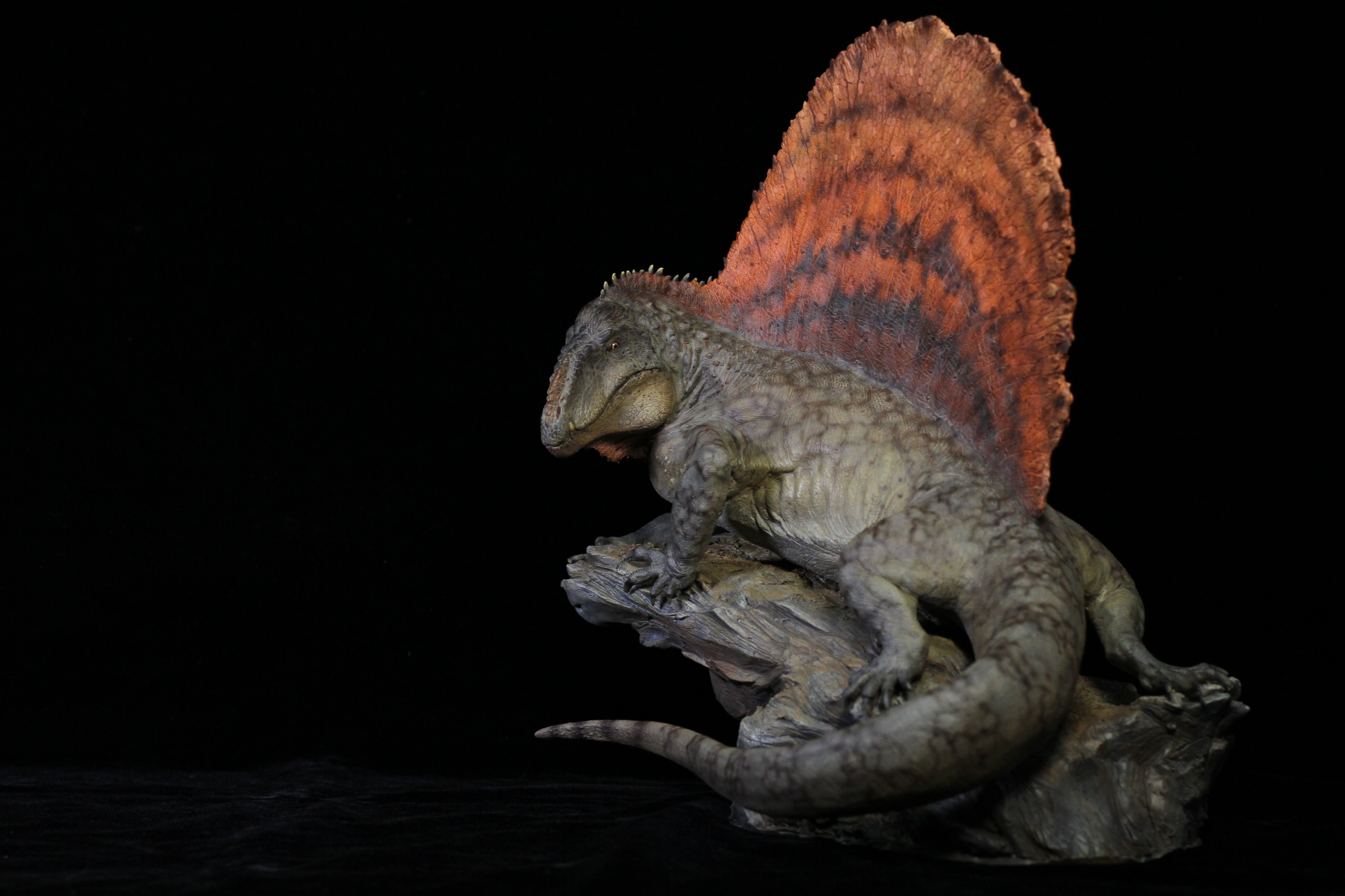 DM 1:5 Dimetrodon Scene Kit