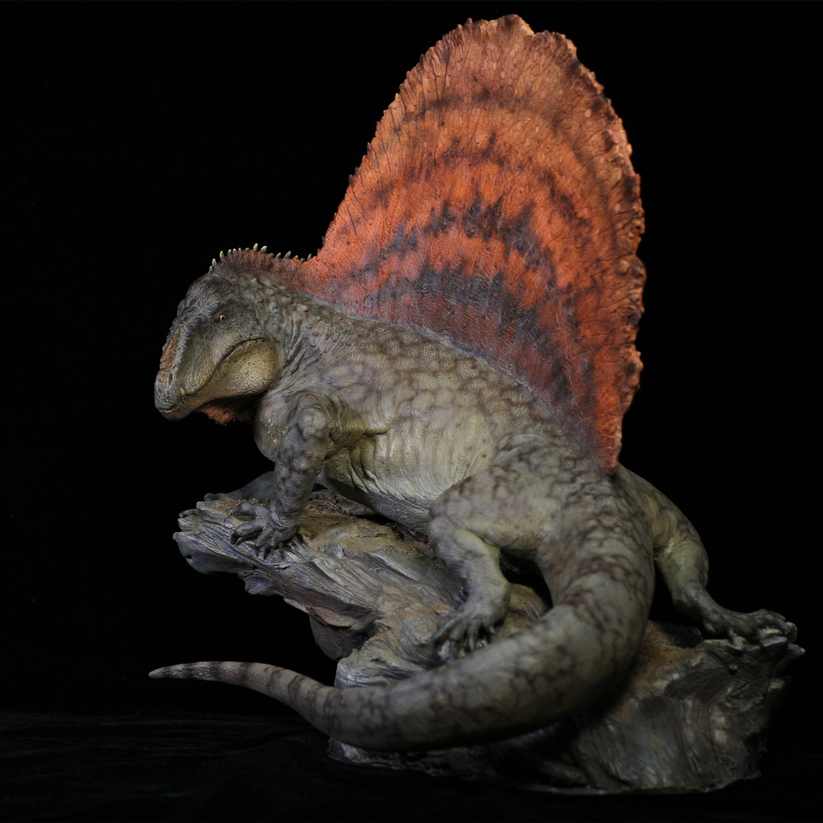 DM 1:5 Dimetrodon Scene Kit