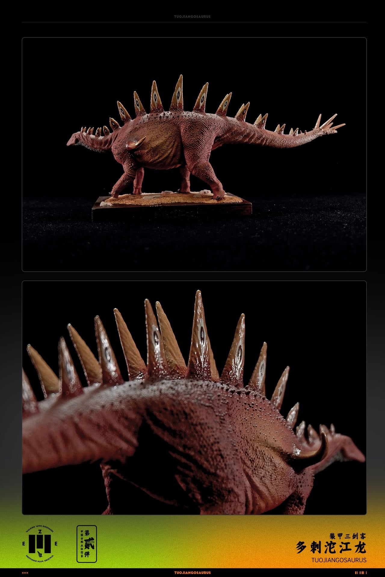 ZEE STUDIO 1:35 Scale Tuojiangosaurus multispinus Model Kit