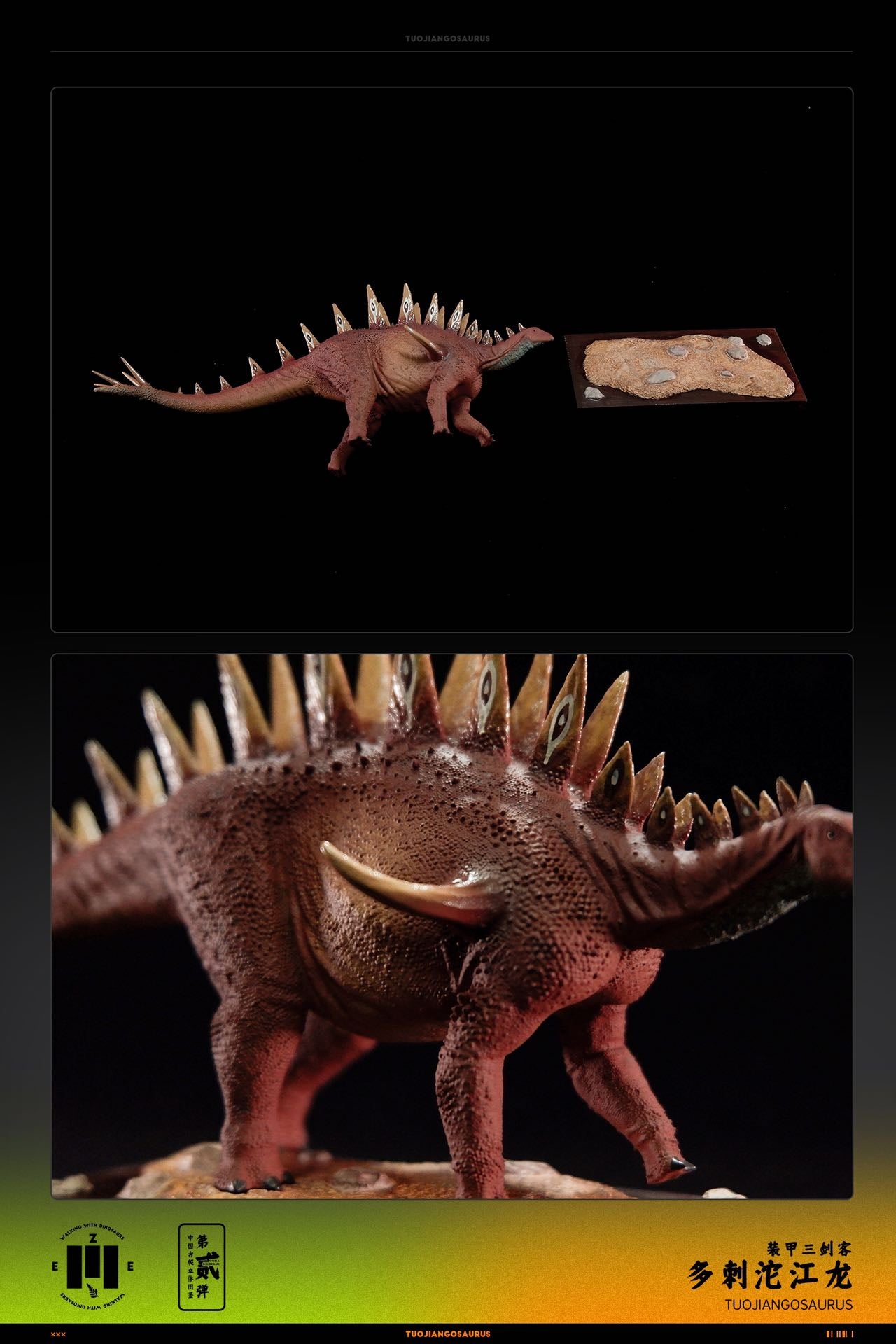 ZEE STUDIO 1:35 Scale Tuojiangosaurus multispinus Model Kit