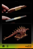 ZEE STUDIO 1:35 Scale Tuojiangosaurus multispinus Model Kit
