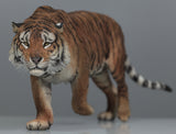 1:6 Sumatran Tiger Model
