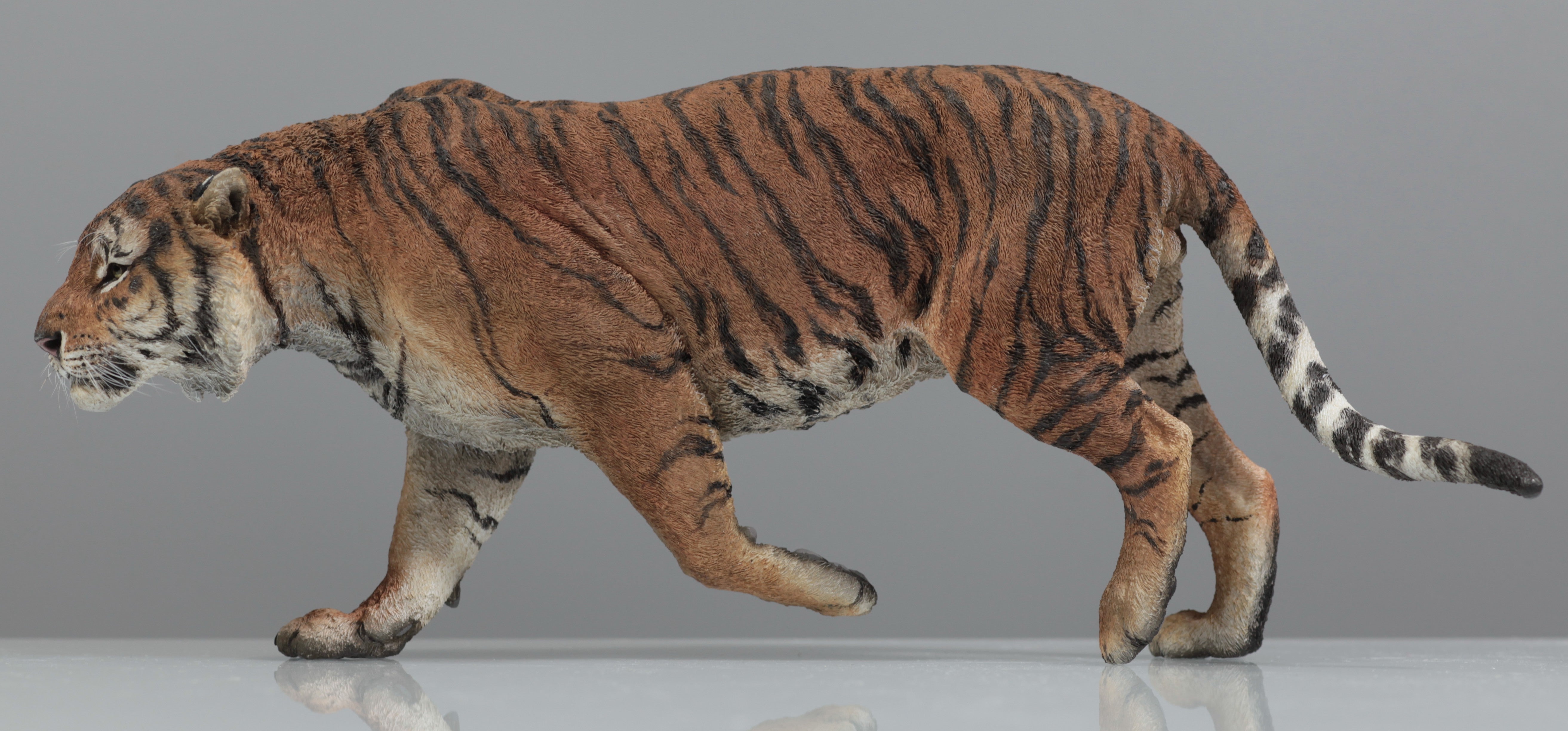 1:6 Sumatran Tiger Model