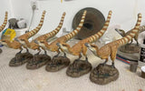 Cen DaoYi Studio 1:2 Scale Sinosauropteryx Statue Model Kit