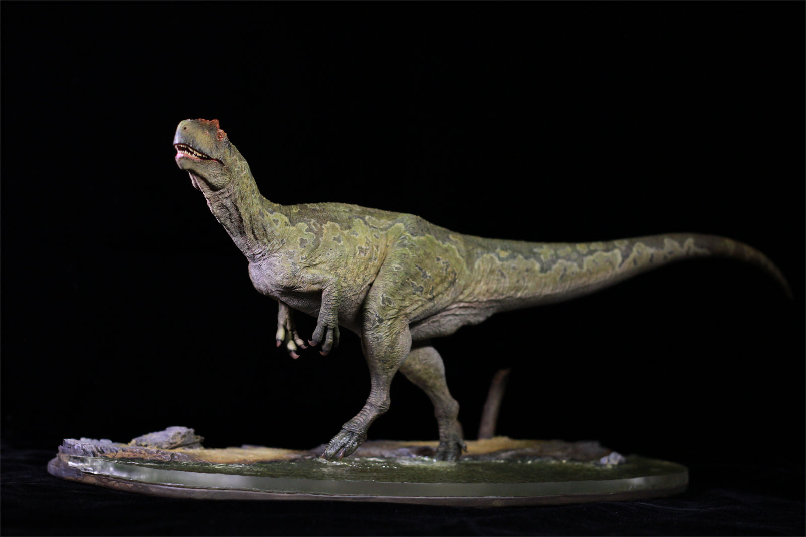 1/18 Allosaurus jimmadseni Statue