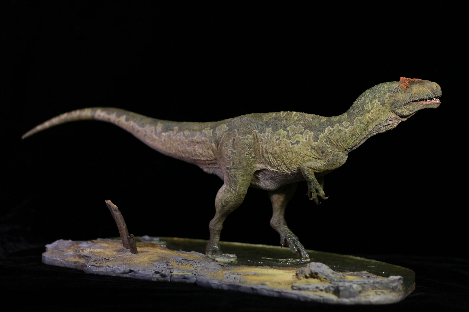 1/18 Allosaurus jimmadseni Statue