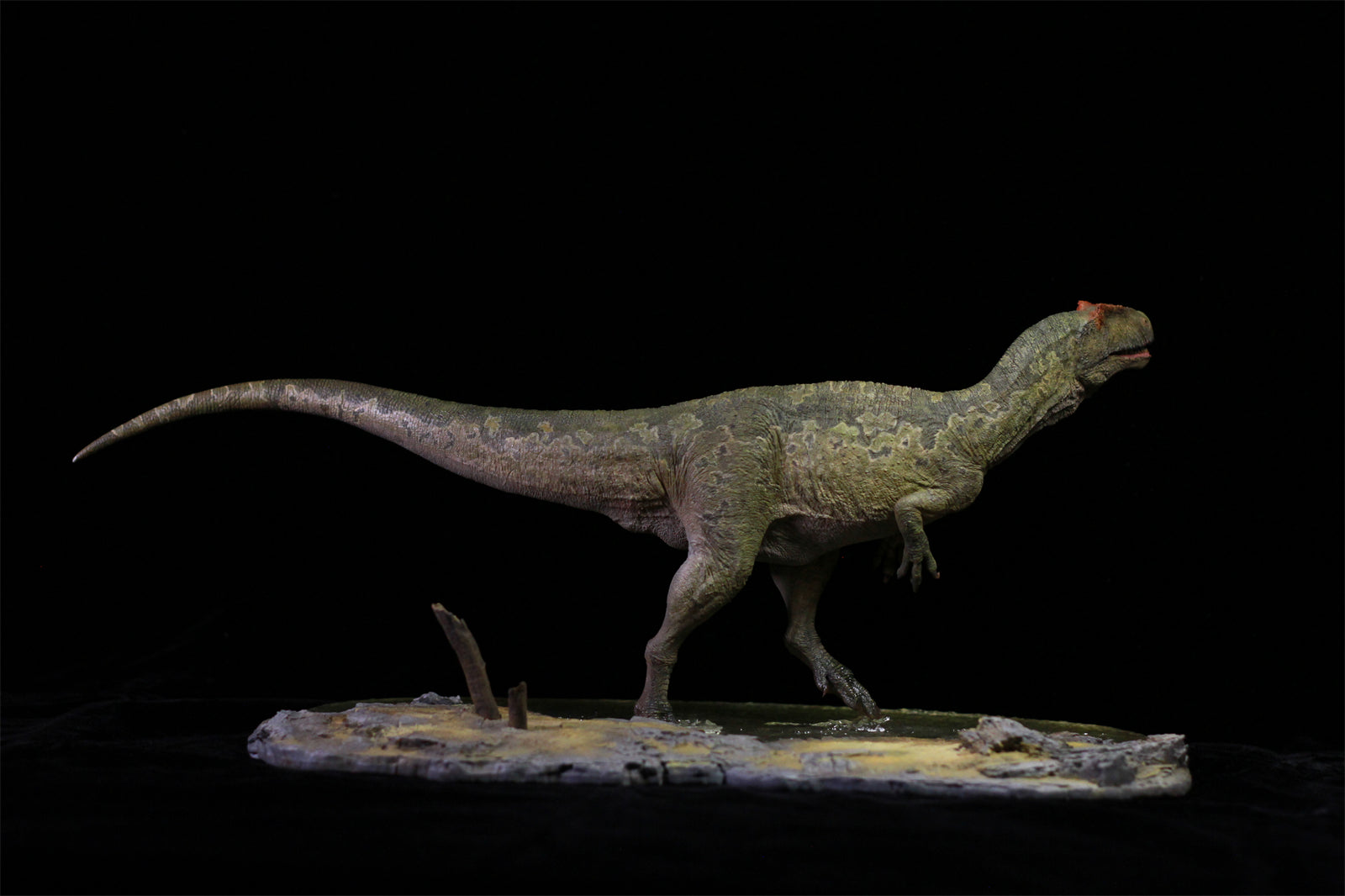 1/18 Allosaurus jimmadseni Statue