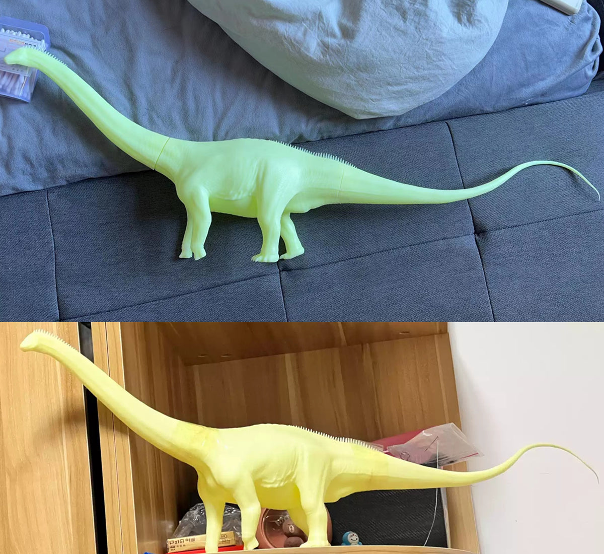 Maraapunisaurus fragillimus Model Kit