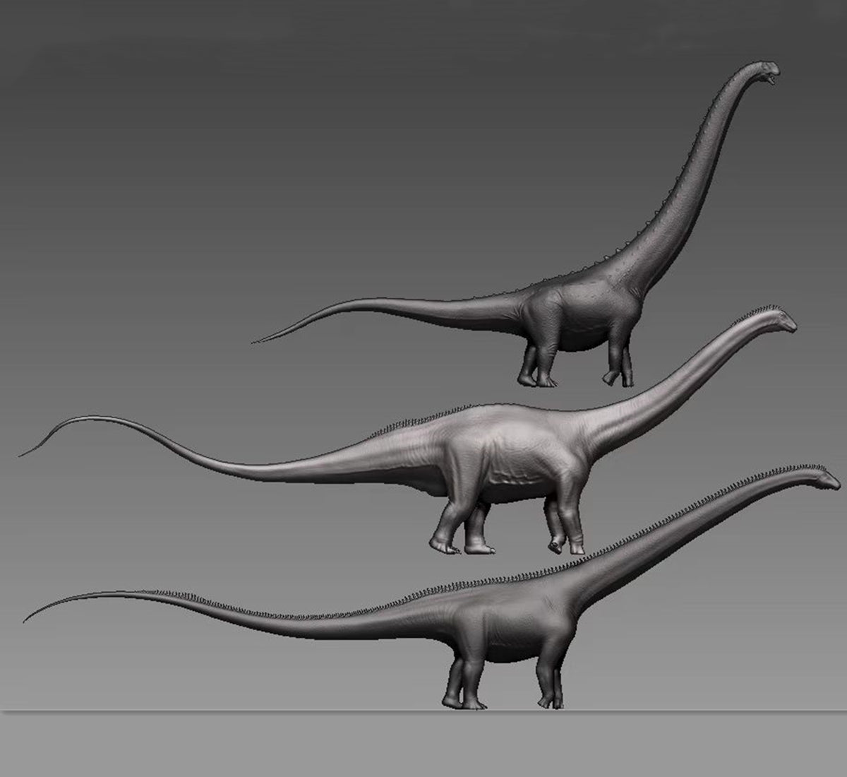 Maraapunisaurus fragillimus Model Kit