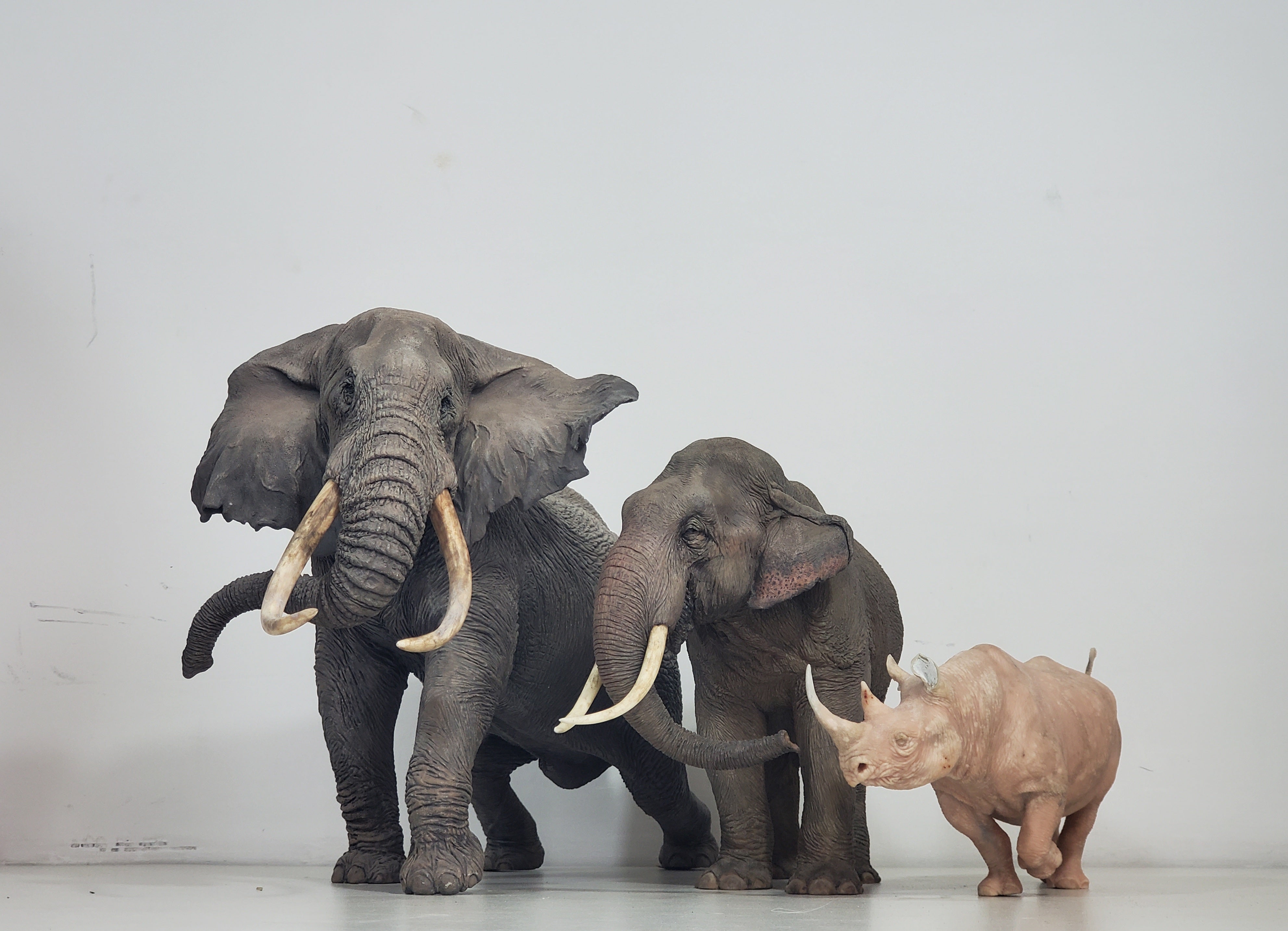 tunan Black Rhino Model