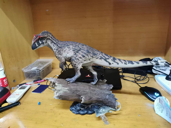 MK Studio 1:20 Scale Allosaurus Scene Statue Installment