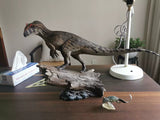 MK Studio 1:20 Scale Allosaurus Scene Statue Installment