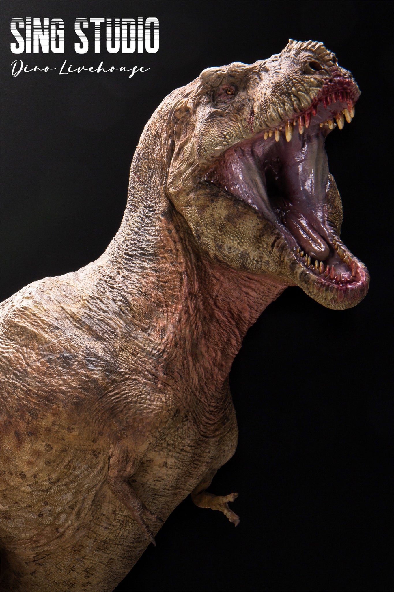 Sing Studio 1:18 Scale Tyrannosaurus Rex Manson VS Triceratops 