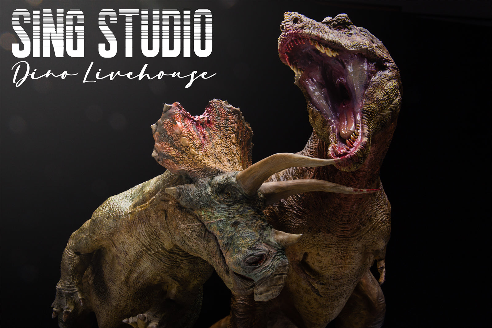 Sing Studio 1: Scale Tyrannosaurus Rex Manson VS Triceratops