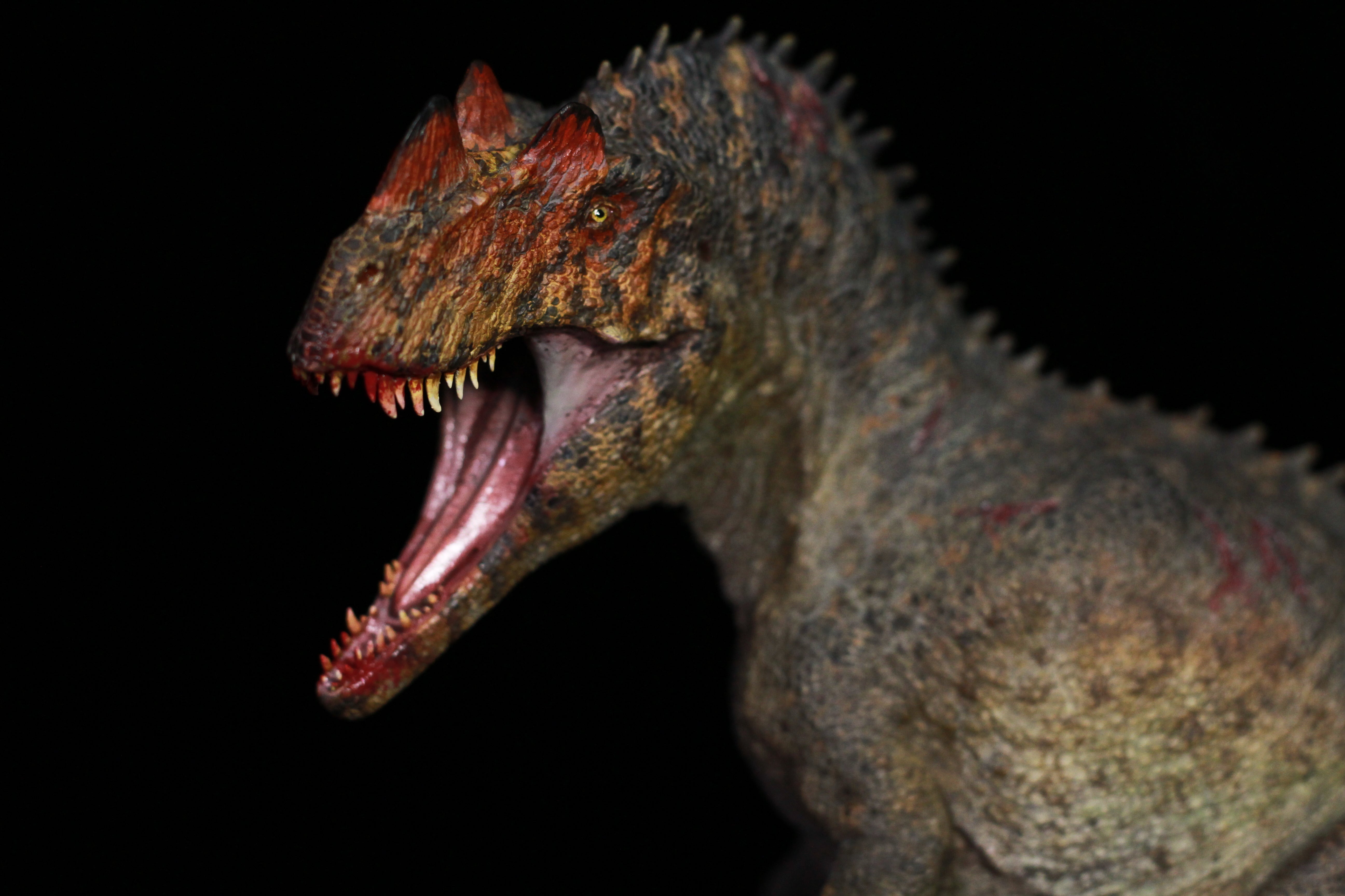 Nature&Fate Studio 1:15 Scale Ceratosaurus Allosaurus Corpse Scene Model Kit