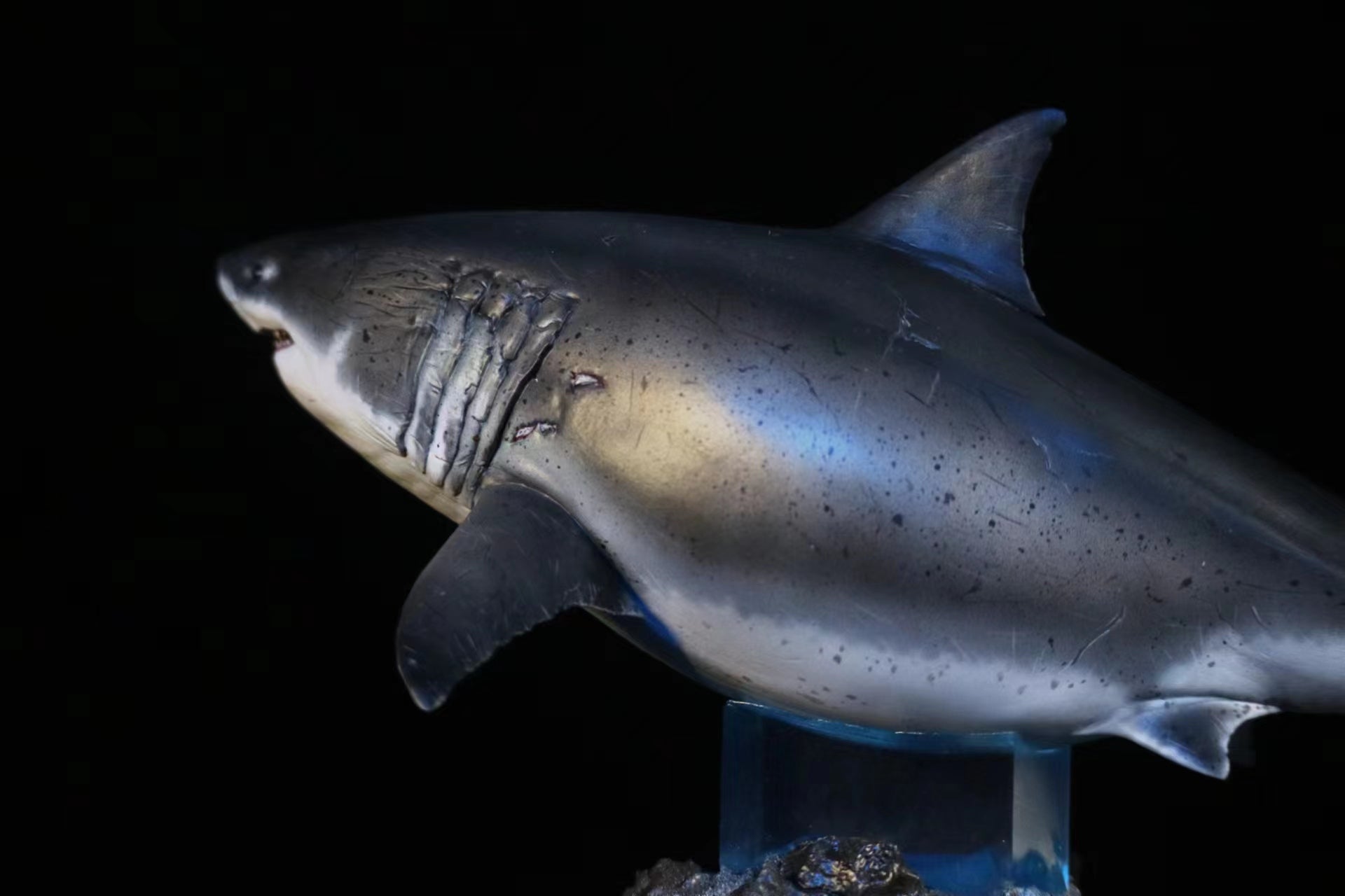 JA Studio Great White Shark Hoole Girl Statue