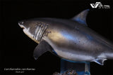 JA Studio Great White Shark Hoole Girl Statue