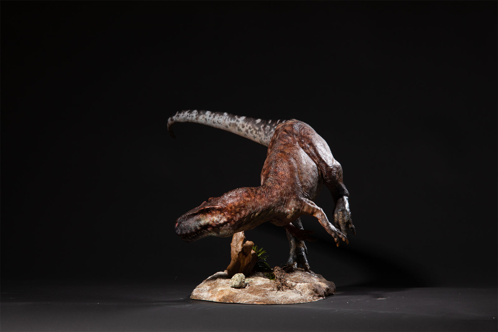 DM Studio 1:15 Scale Torvosaurus Allosaurus Cub Scene Kit