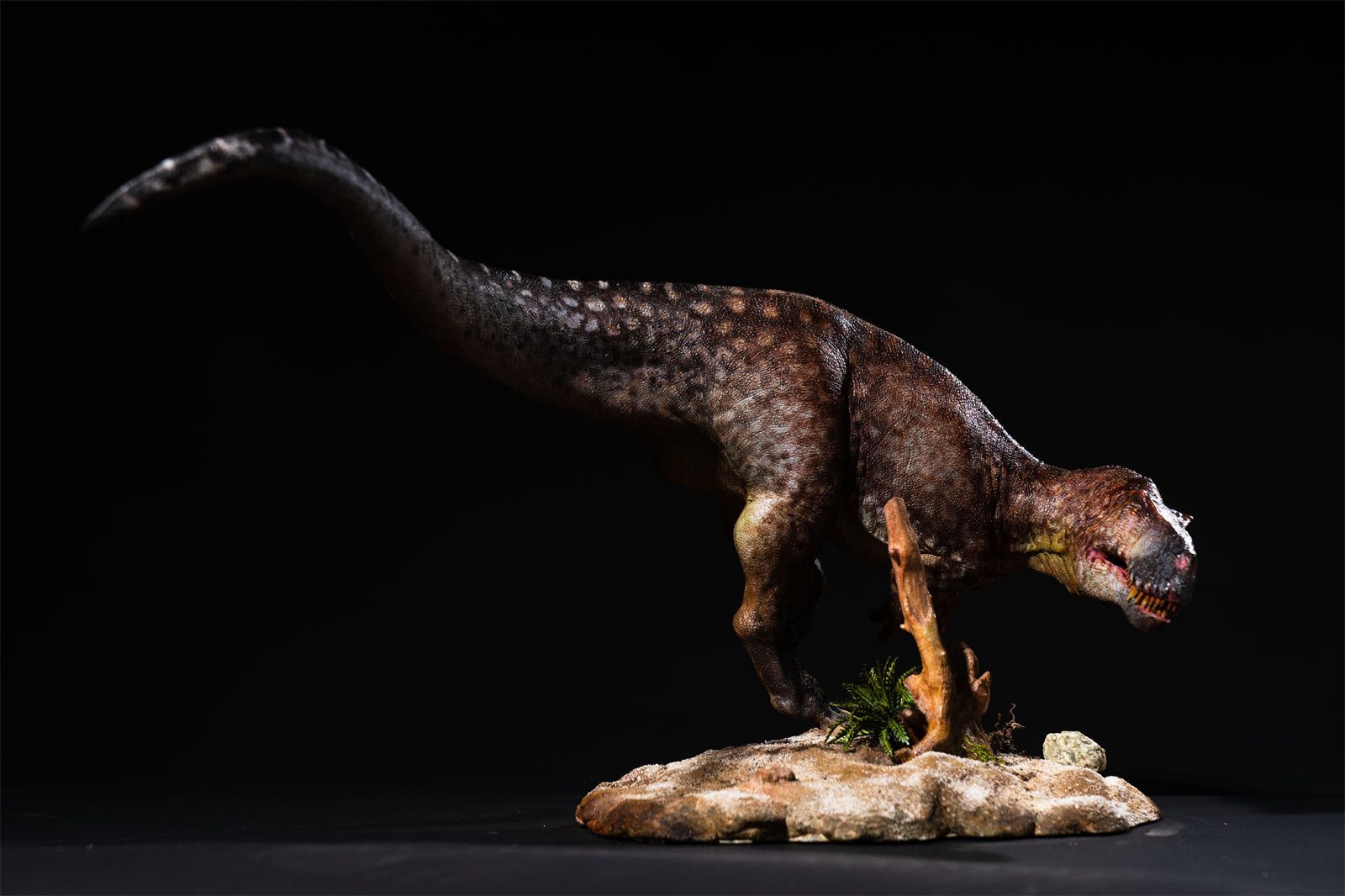 DM Studio 1:15 Scale Torvosaurus Allosaurus Cub Scene Kit