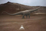 Art&Evolution Studio 1:18 Scale Mamenchisaurus sinocanadorum Model