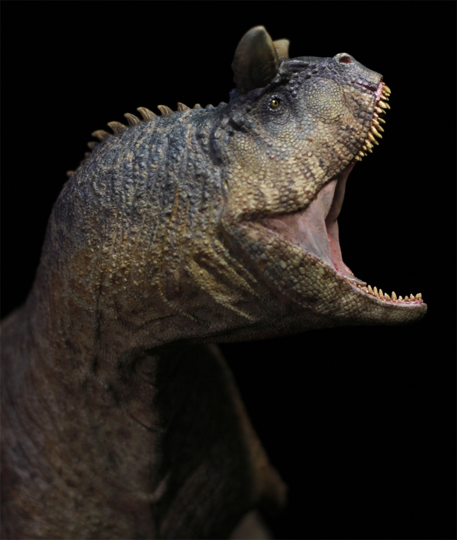 Sensen 1:15 Scale Carnotaurus Scene Statue