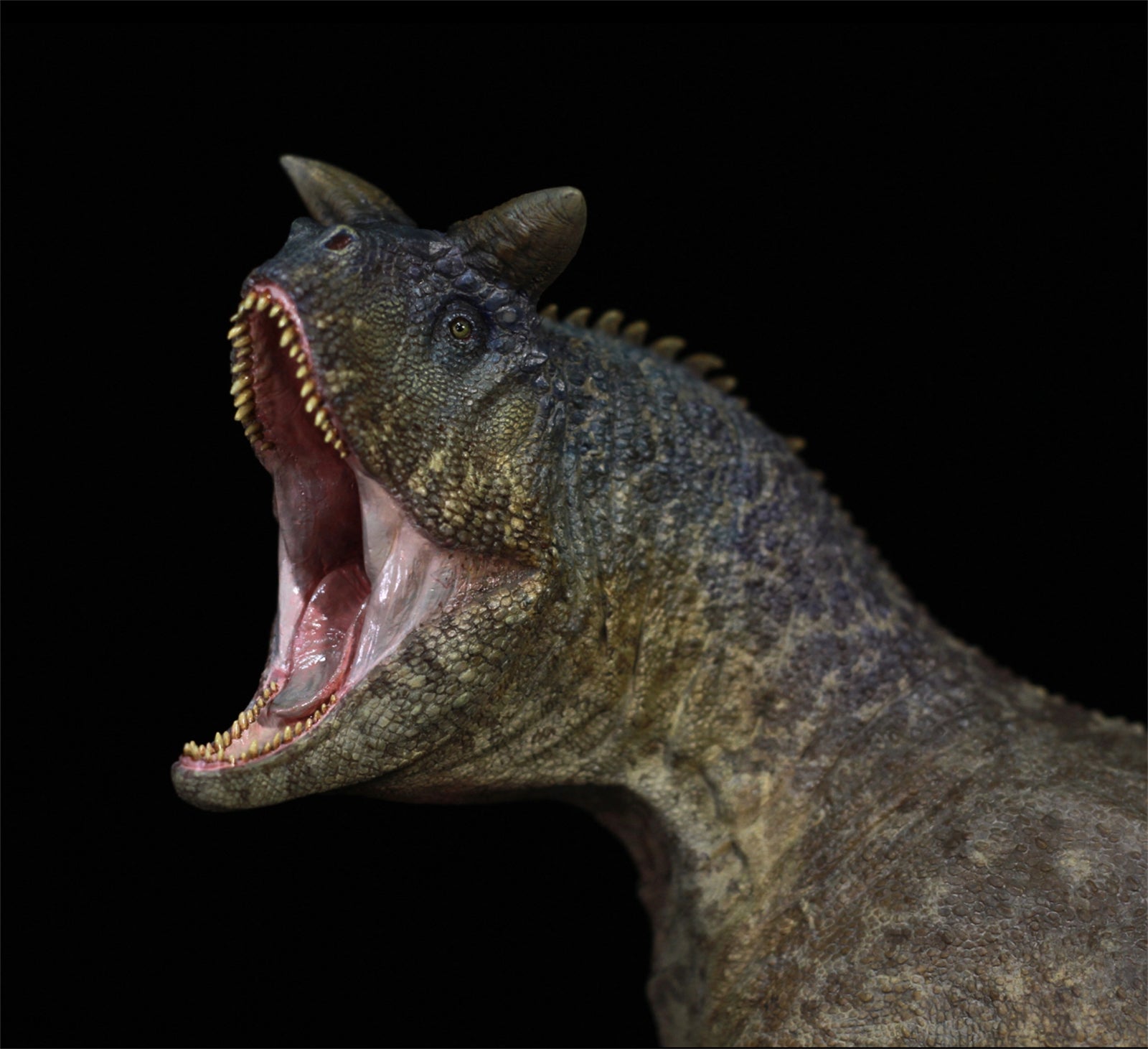 Sensen 1:15 Scale Carnotaurus Scene Statue