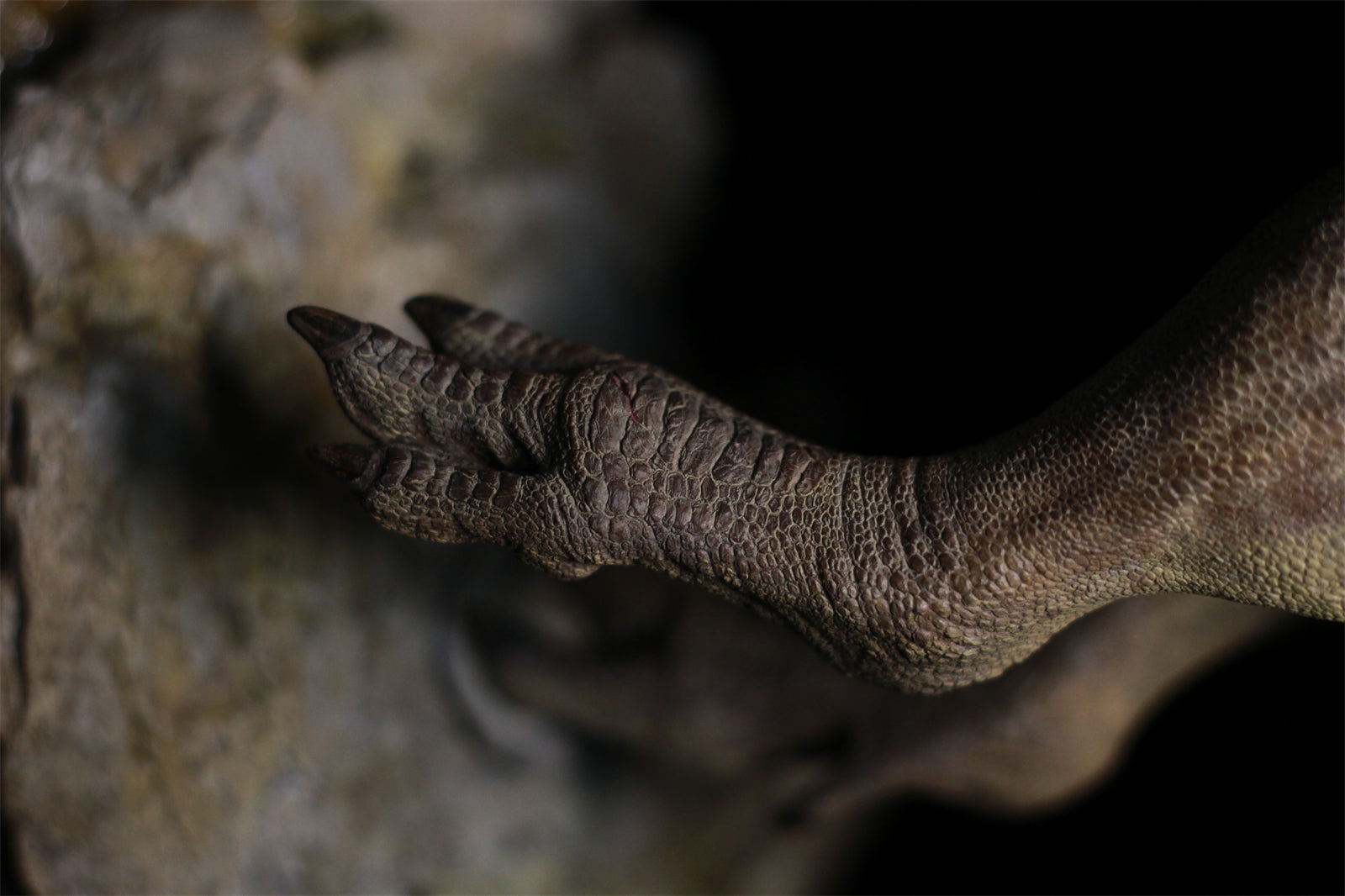 Sensen 1:15 Scale Carnotaurus Scene Statue