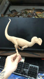LINGHU ART STUDIO Dilophosaurus Scene Model Kit